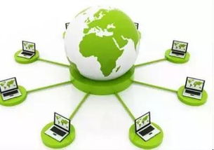 互聯網時代 破解農產品銷售難題的新路徑